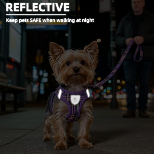 Dog Harness Collar and Leash Set No Pull for Small Medium Sized (Purple / S (CHEST 14.5"-16"))