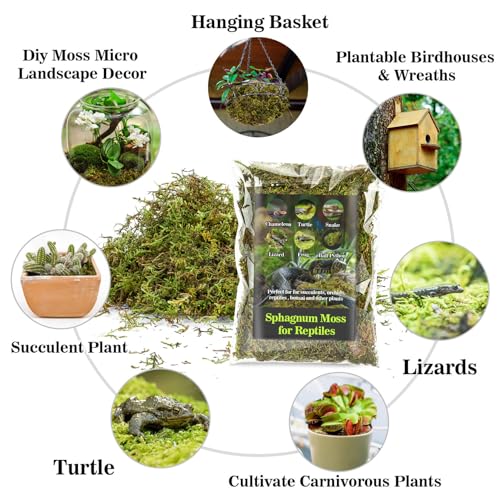 Sphagnum Moss for Reptiles (30 Ounces / Green)