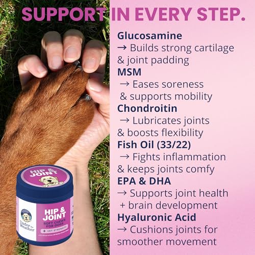 Pet Hip & Joint Chews for Dogs