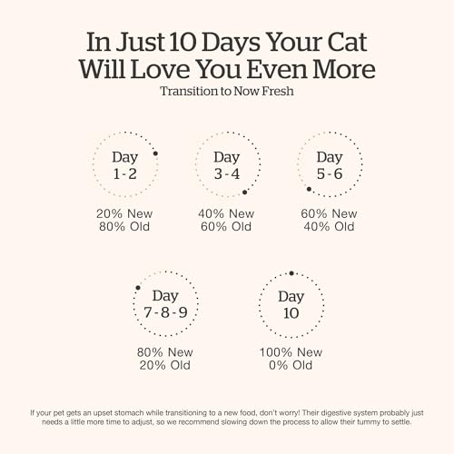 Kitten Dry Cat Food (3 Pound (Pack of 1))