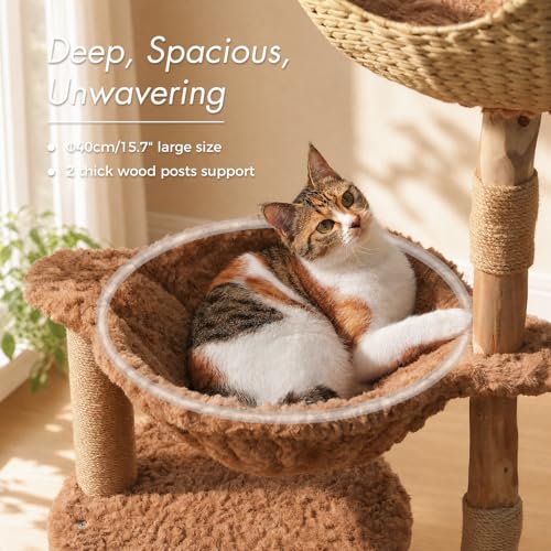 Modern Cat Tree with Real Wood&Wicker Basket for Large Cats Brown (Brown)