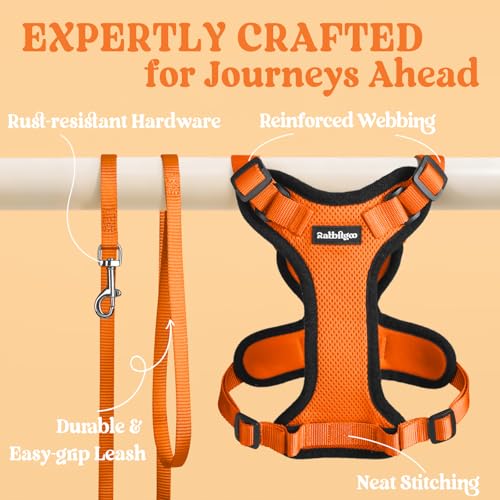 Cat Harness and Leash Set (Xxs / Orange)