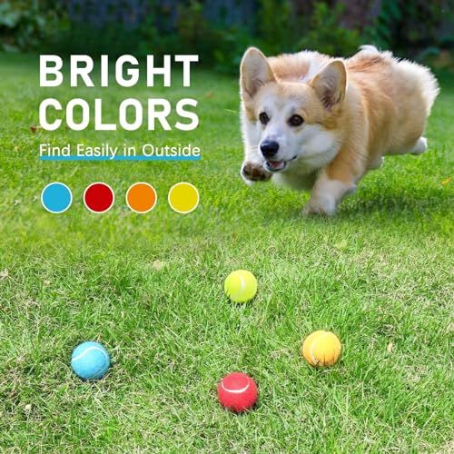 Dog Tennis Balls 4 Pack (2" Squeaky / 4 Pack, 4 Colors)