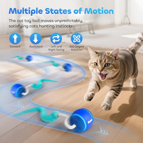 Interactive Cat Toy Ball for Indoor Cats with 3