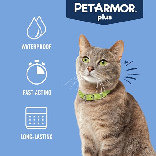 Plus Flea & Tick Topical Cats 1.5 lbs+ (Cats over 1.5lbs / 6 Count (Pack of 1))