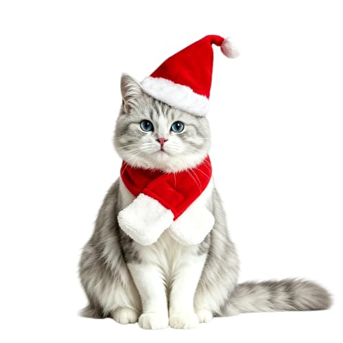 Cat Christmas Costume (Xmas Costume)