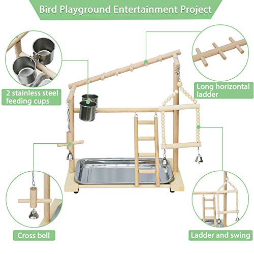 Parrot Playstand Bird Playground Wood Perch Stand