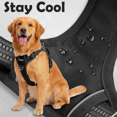 Dog Harness Medium Sized Dog (Black / Medium)