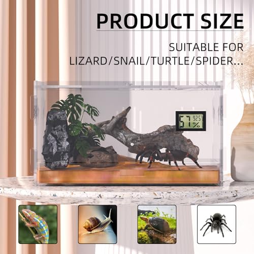 Reptile Terrariums with Temperature Hygrometer (Terrestrial--M (Tray))
