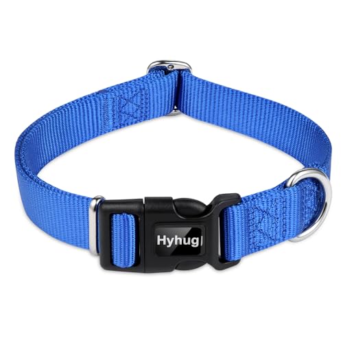 Blue Dog Collar for Large Dogs (Large / Bright Blue)