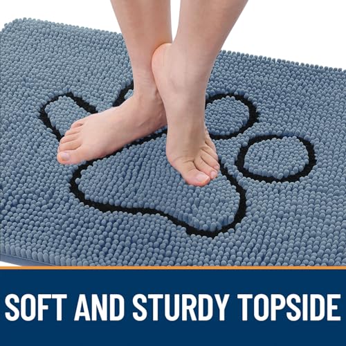 Dog Door Mat for Muddy Paws 30x20 (Airy Blue / 30" X 20")