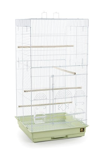 SPECONO1818H SG Tall Tiel Cage (Sage Green)
