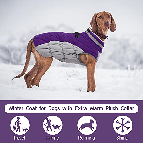 Dog Coat for Medium Dogs (Purple / M(chest:21in))