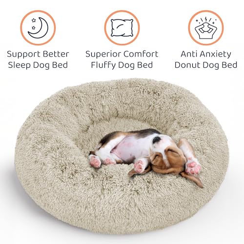 Calming Donut Dog Bed for Small Dogs (Cream White / X-Large (45"L x 45"W x 10"Th))