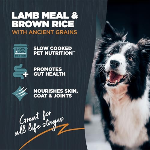Sensitive Premium Dry Dog Food (Lamb Meal & Brown Rice with Ancient Grains / 10 Pound (Pack of 1))