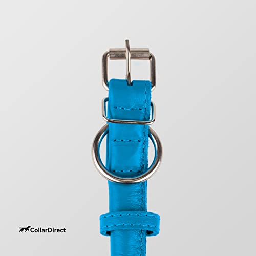 Tangle Free Rolled Leather Dog Collar (Light Blue / XS)