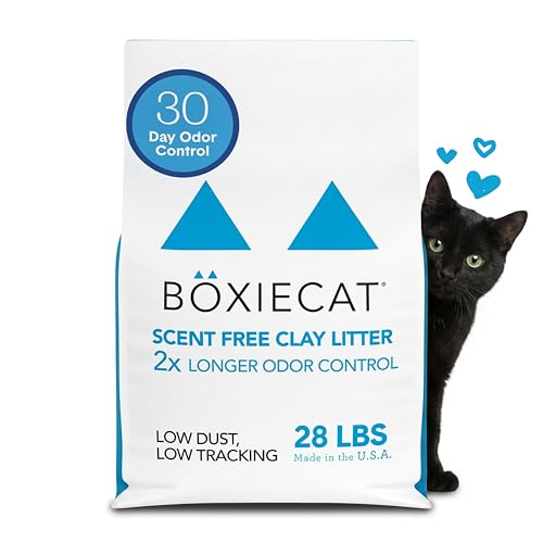 Boxie Premium Unscented Clumping Cat Litter 30+ Day Odor Control 28 lb (28 lb)