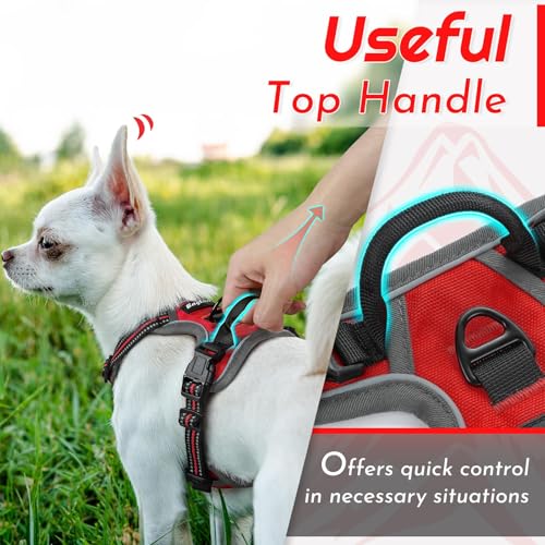Dog Harness for Small Dogs (X-Small / Red)