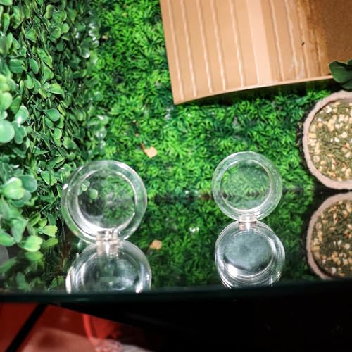 2 Pack Jumping Spider Enclosure Accessories