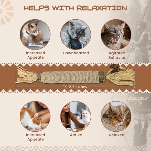 Catnip Silvervine Sticks (Silvervine)