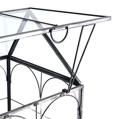 Glass Terrarium with Metal Tray (Small-5.9"L x 5.9"W x 10.2"H)