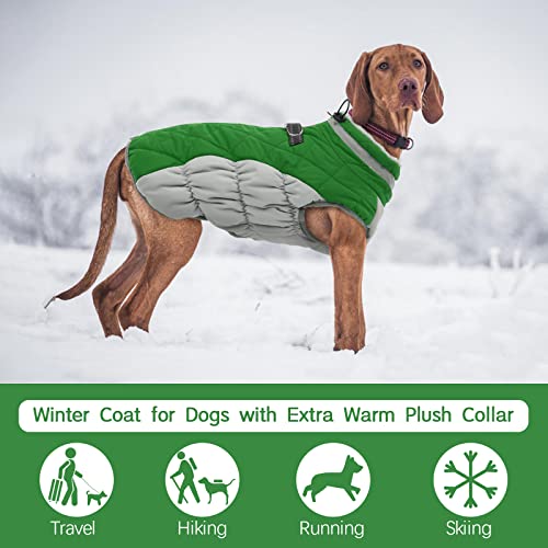 Dog Jacket for Small Dogs Warm Dog Jackets with Harness Built in (Green / XS(chest:14in))