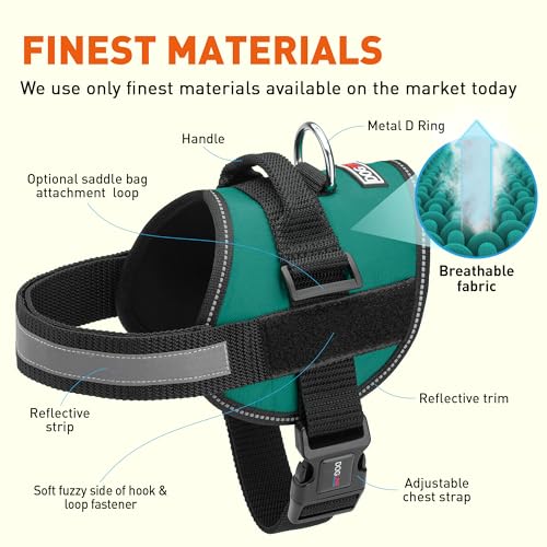 Dog Harness Reflective No (Teal / Girth 27" to 34")