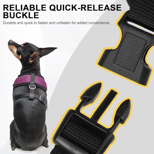 Small Dog Harness (S (NECK: 12", CHEST: 14"-18") / Purple)