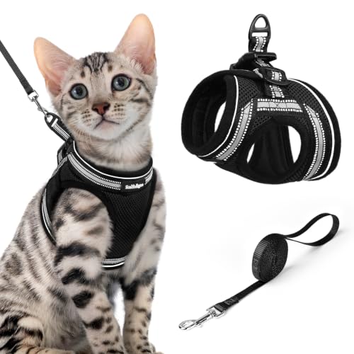 Cat Harness and Leash Set (XL / Black)