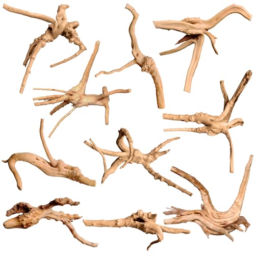 Natural Small Driftwood for Aquarium Decor Fish Tank Decor Reptile Decor (Spiderwood 2 to 4.5 Inch(Pack of 10))