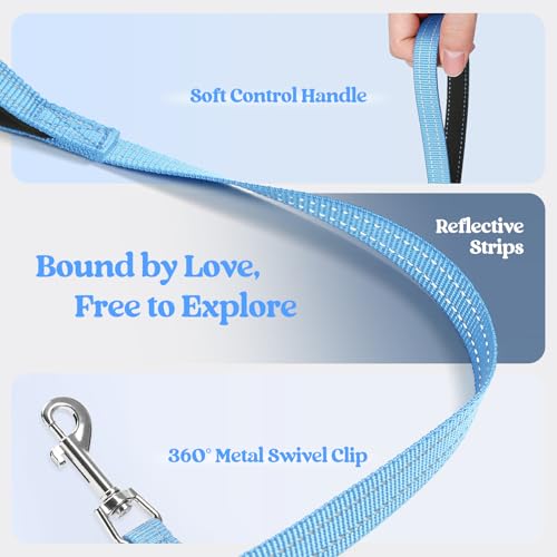 Dog Harness Medium Sized and Leash Set (Blue / M (chest: 16 - 18.5"))