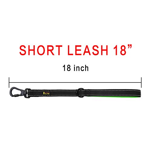 Short Training Dog Leash with Padded Handle for Medium Large Big Dogs (Black / 18 Inch (Pack of 1))