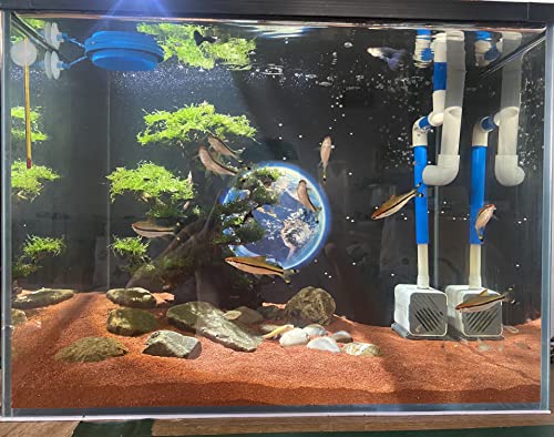 11lb Natural South American Rainforest Sand
