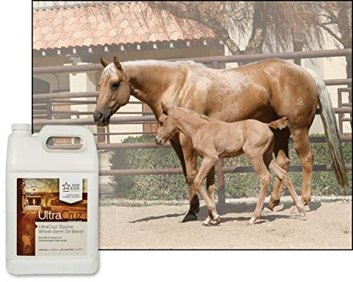 Equine Wheat Germ Oil Blend