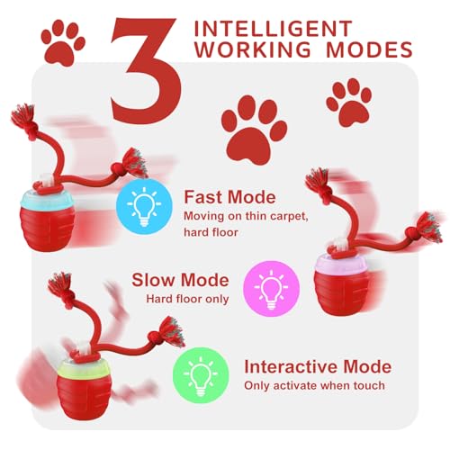 Interactive Dog Toy (Red / Medium/Large)