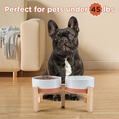 Elevated Dog Bowls Ceramic (6.1 in - 3.6 cups / Pattern White)