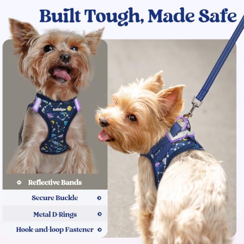 Dog Harness Small Sized and Leash Set (Navy Space Pups / Xs (chest: 13.3 - 15.5"))