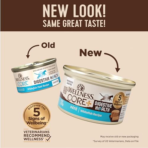 CORE+ Digestive Health Pate Adult Canned Wet Cat Food (3 Ounce (Pack of 12))