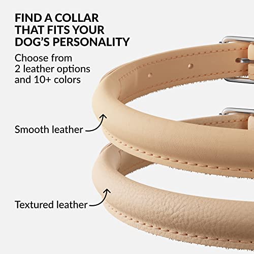 Tangle Free Rolled Leather Dog Collar (Beige / XXS)