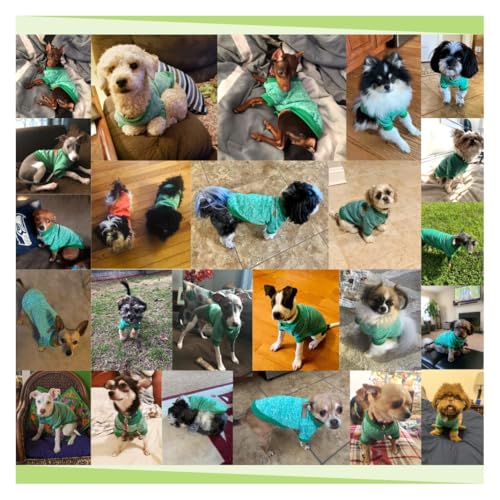 Dog Sweaters for Small Dogs (Green / Large)
