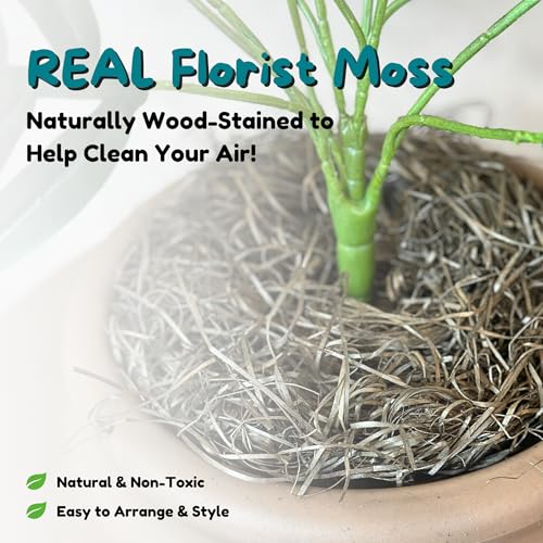Original Hidden Litter Box Planter (Palm Plant / Base Kit / Terracotta Brown)