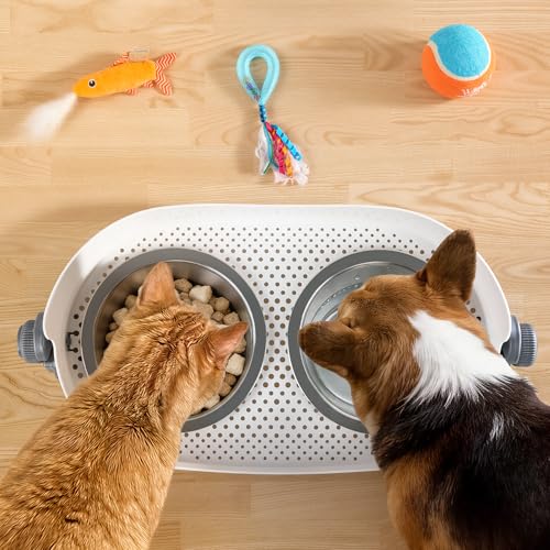 Elevated Dog Bowls (Large)