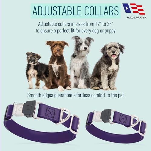 Biothane Waterproof Dog Collar with Herm Sprenger Stainless Steel Quick Release Buckle (W 1" x L 15"-25" / Violet Purple)