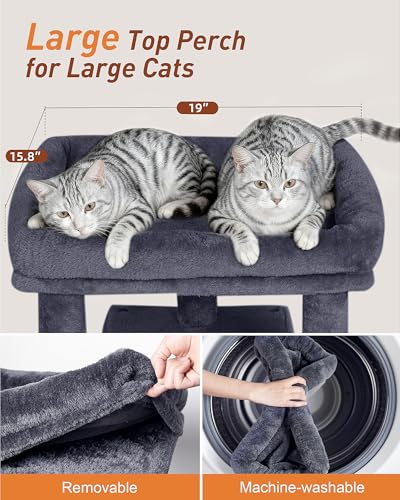 23.6" Cat Tree for Large Cat (Dark Gray)