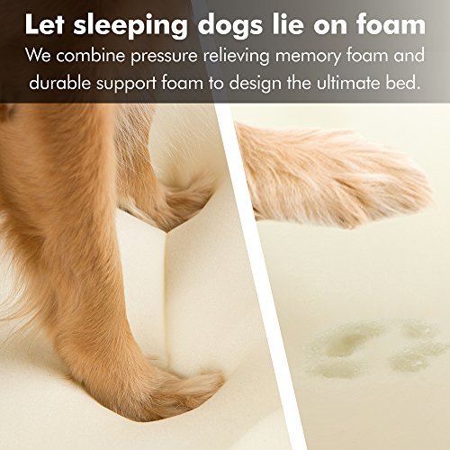 X Large Dog Bed (Memory Foam Dog Bed / Chester Brown / 44.0"L x 34.0"W x 10.0"Th)