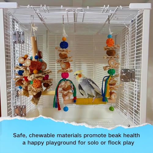 Bird Swings Toys for Parakeets Parrot (M)