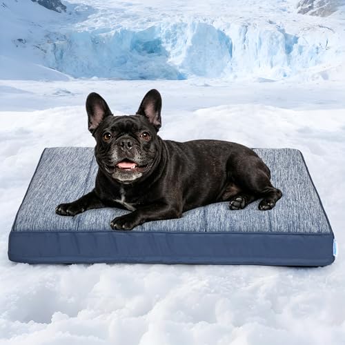 Cooling Dog Bed for Medium Dogs (Wander Blue / 30"L x 20"W x 3"H)