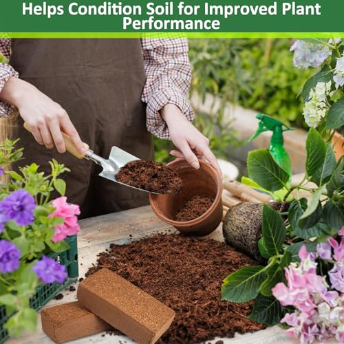 2 Pack Coco Coir Bricks for Plants (2 Pack)