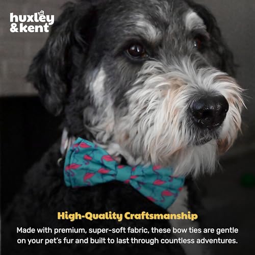 Pet Bow Tie for Dogs & Cats (Large)