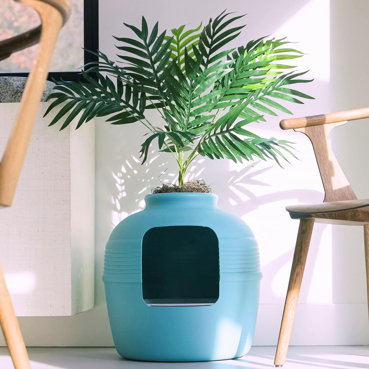Original Hidden Litter Box Planter (Palm Plant / Essentials Kit / Coastal Blue)